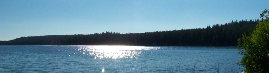 banner2