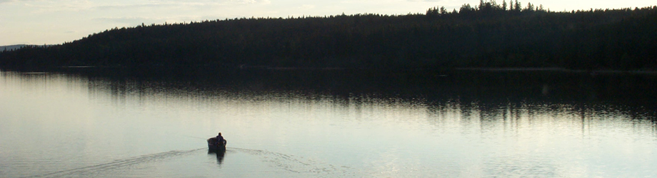 banner3