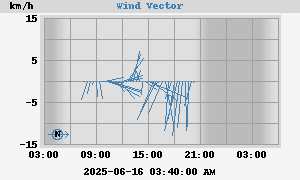 Wind Vector