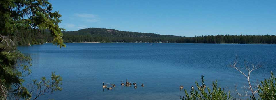 Lac Le Jeune